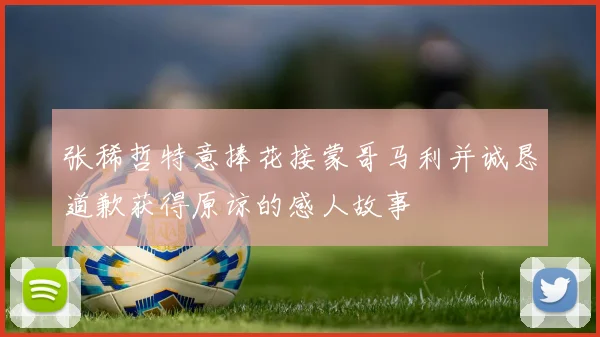 张稀哲特意捧花接蒙哥马利并诚恳道歉获得原谅的感人故事