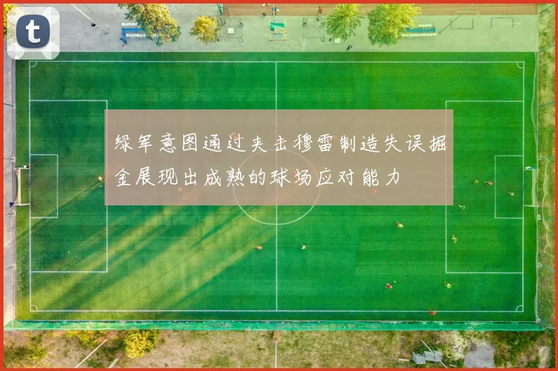绿军意图通过夹击穆雷制造失误掘金展现出成熟的球场应对能力