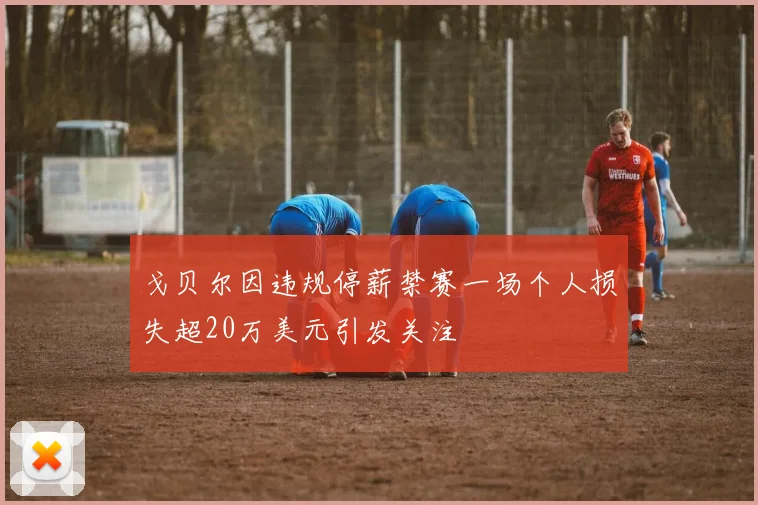 戈贝尔因违规停薪禁赛一场个人损失超20万美元引发关注