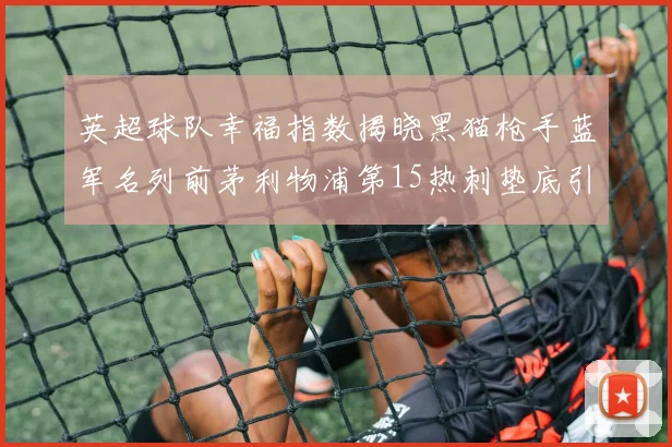 英超球队幸福指数揭晓黑猫枪手蓝军名列前茅利物浦第15热刺垫底引关注