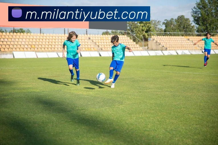 米兰体育平台生态图